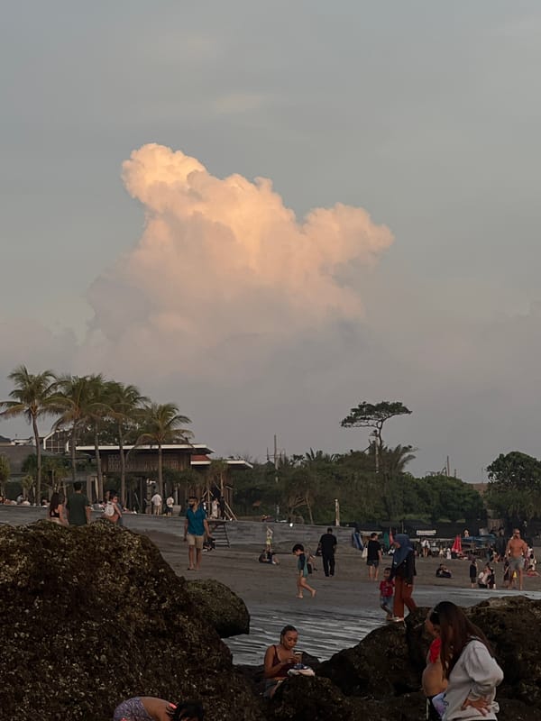 Dog wades into ocean waters near Canggu beach
