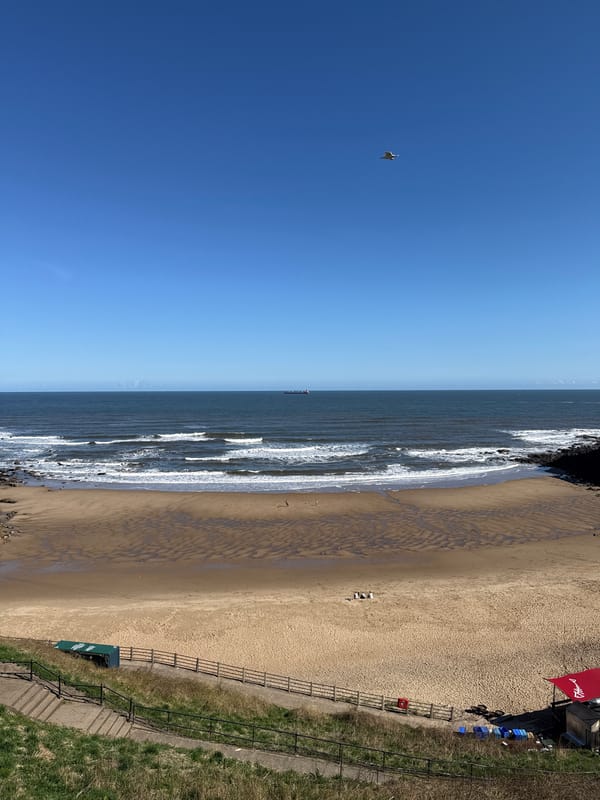 Clear day coastal scene captured at North Tyneside beach