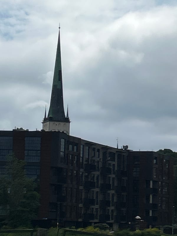 Hot dog lunch and crow encounter in central Tallinn