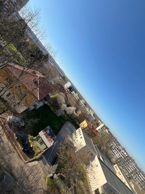 Spring blooms observed in Lovech alongside Minecraft collectibles display
