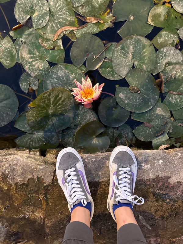 Person spotted wearing mismatched sneakers in Ramat Gan