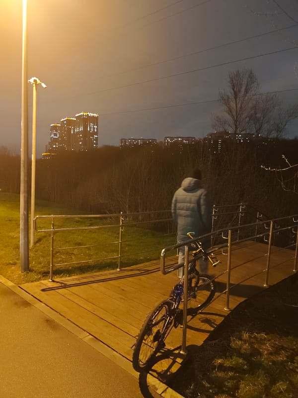 Man walks bicycle across Moscow park walkway at night