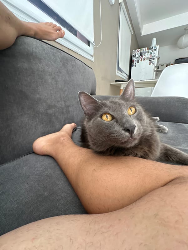 Cat and workout gear spotted in Wilde home