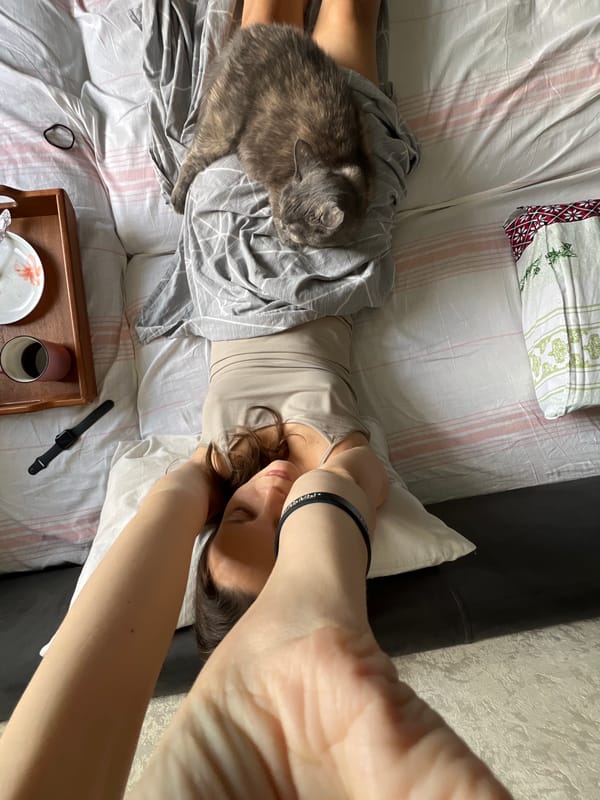 Cat lounges on legs during a quiet rest in bed
