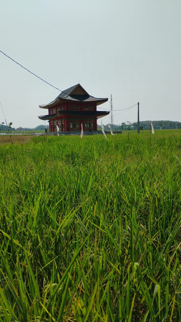 Traditional red pavilion and grounds in rural Madiun