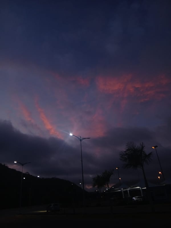 Evening food festival and street scenes documented in Los Robles