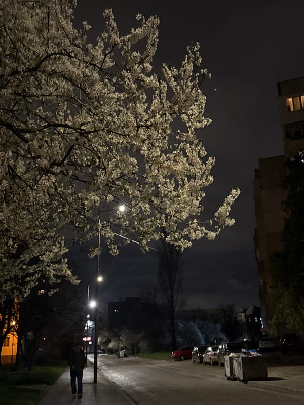 Evening food scene documented in Sofia, Bulgaria