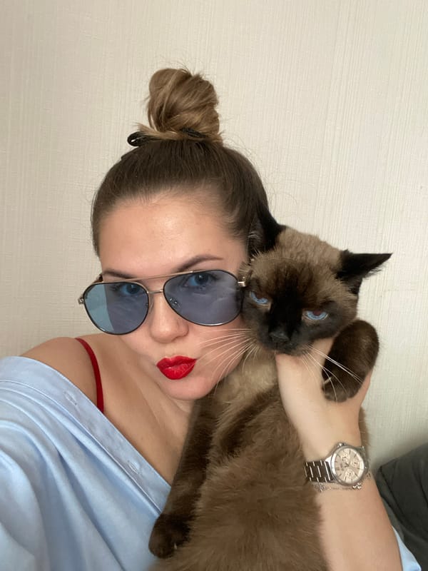 Quiet morning moments with Siamese cat documented in Izhevsk