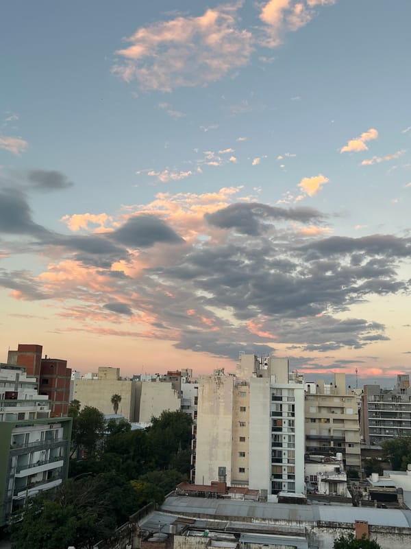 Dog in bandana spotted at Cordoba restaurant during dinner