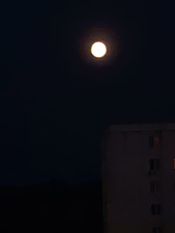 Summer evening stroll through Salihorsk, Belarus