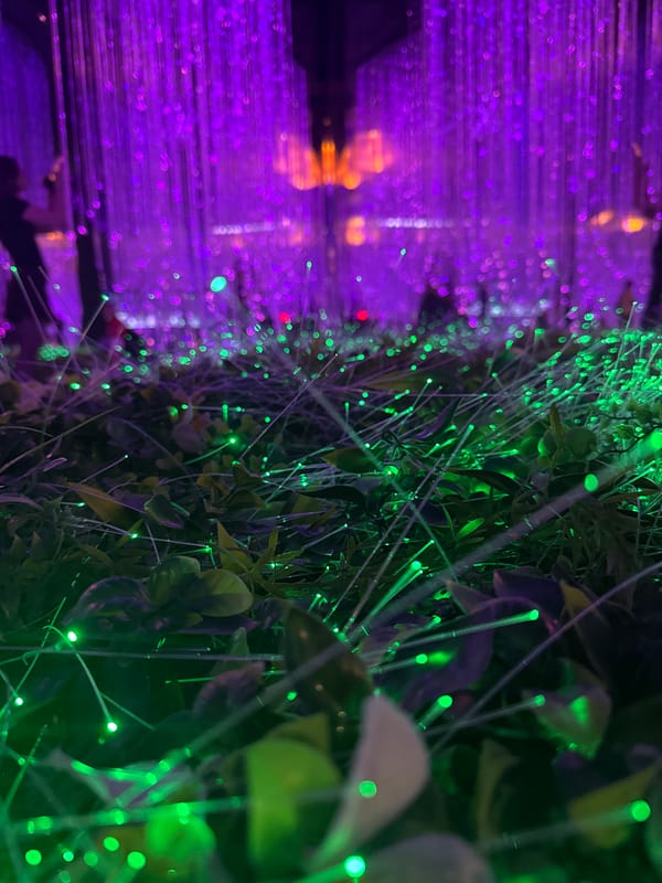 Inside Moscow's Museum of Illusions: lights, mirrors, and fiber optics