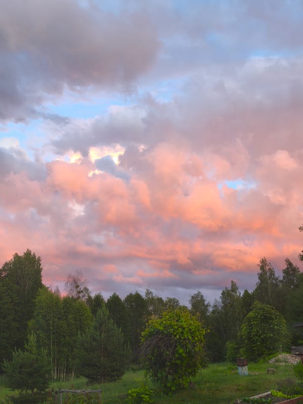 Sunset skies and greenhouse tomatoes in rural Belarus
