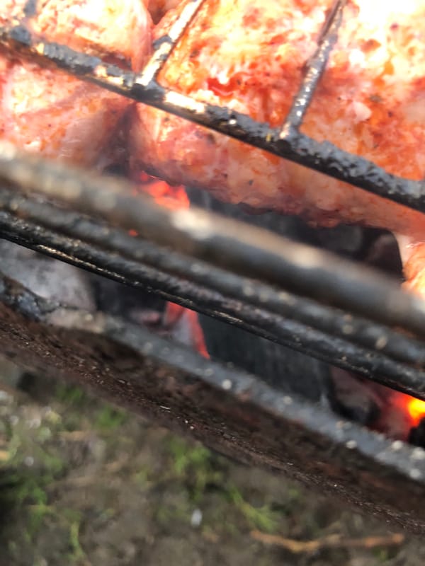 Backyard barbecue captured in 20 photos over afternoon
