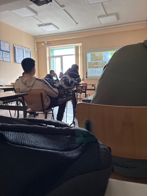 Coniferous tree lesson conducted at Berkovitsa school classroom