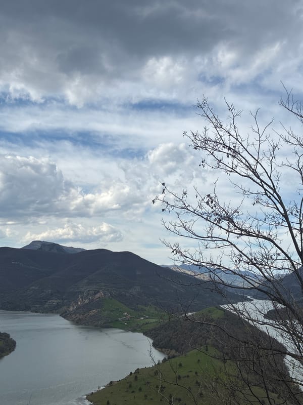 Mixed scenes captured: mountain lake, resting dog, rolling hills