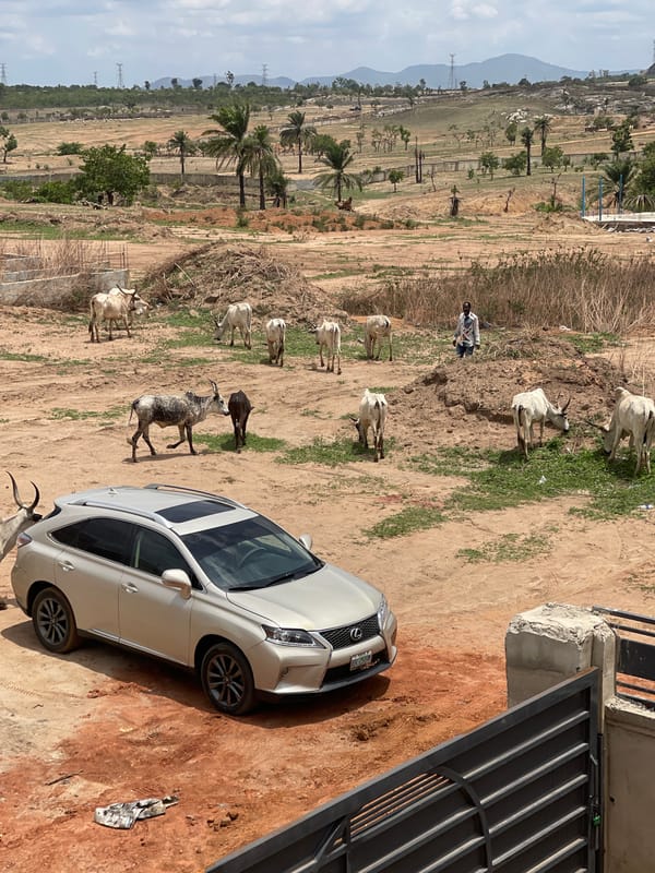 Construction and livestock activity observed in rural Nigeria communities