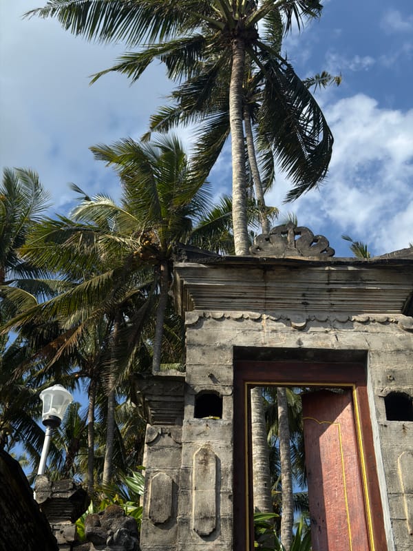 Palm trees and stone structure photographed in Selemadeg Timur