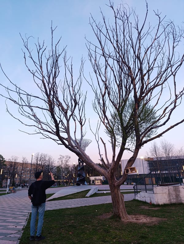 Spring walk captures tree, bird murals in Chernogolovka