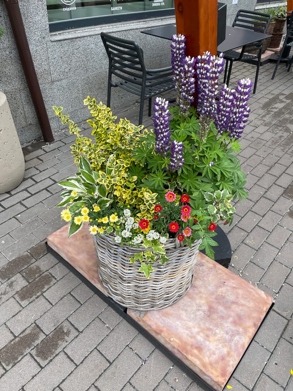 Floral displays and sticker collections documented in outdoor setting