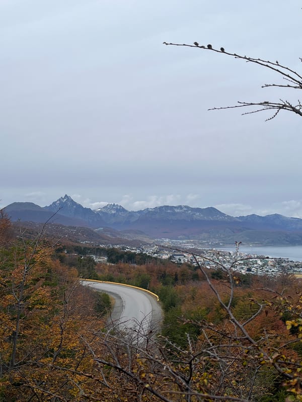 Autumn foliage observed near Ushuaia, Argentina