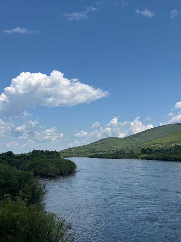 Sunny day in a quiet rural landscape, rivers to wildflowers