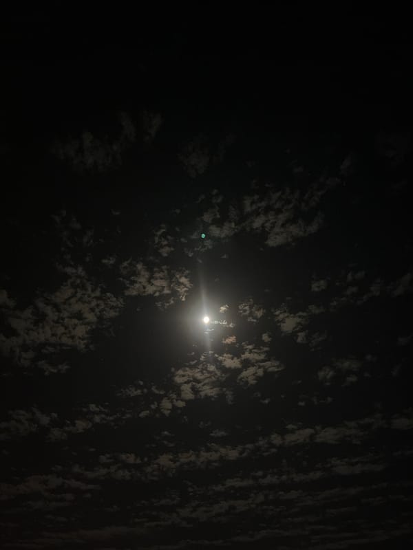 Nighttime construction activity observed under moonlit sky