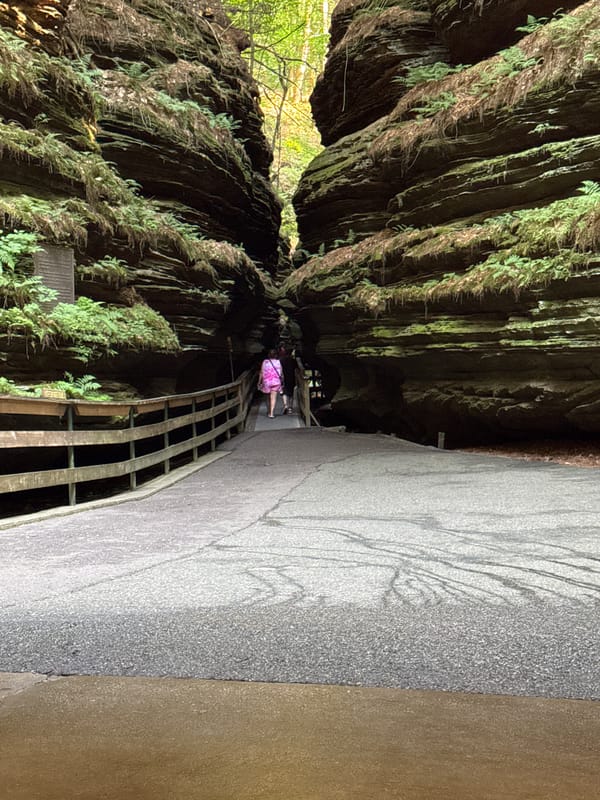 Canyon paths and forest trails in Dell Prairie, summer evening