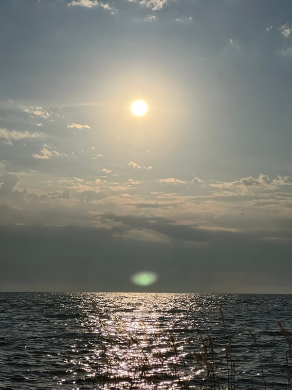 Sunlit lake and sandy shore, Borovoe, late June