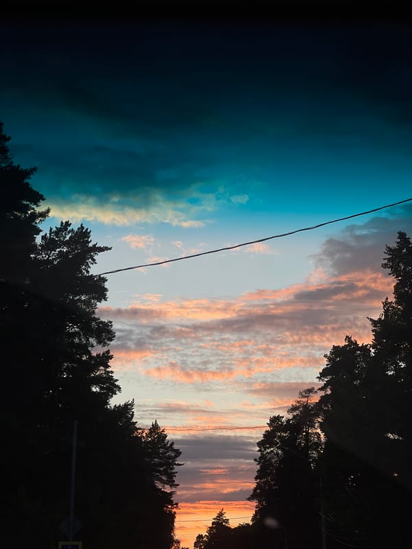 Pine silhouettes frame a vivid dusk sky