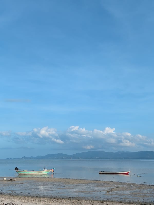 Morning scenes captured across Koh Phangan beaches and markets