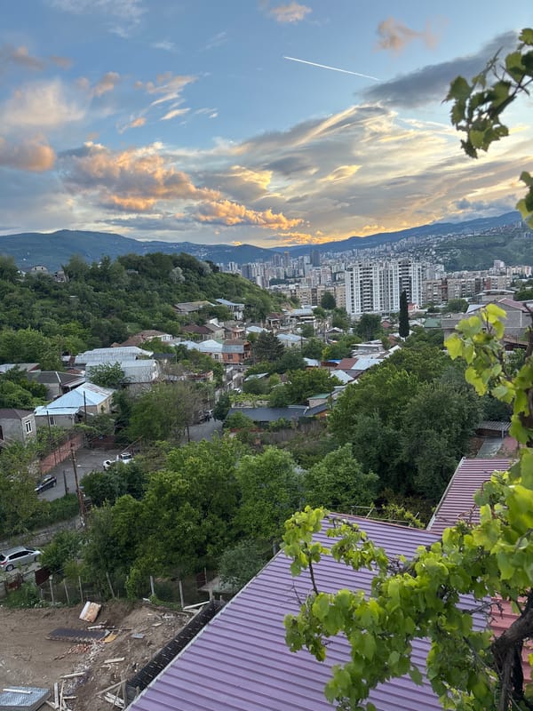 Sunset cityscape captured from vine-covered balcony in Tbilisi