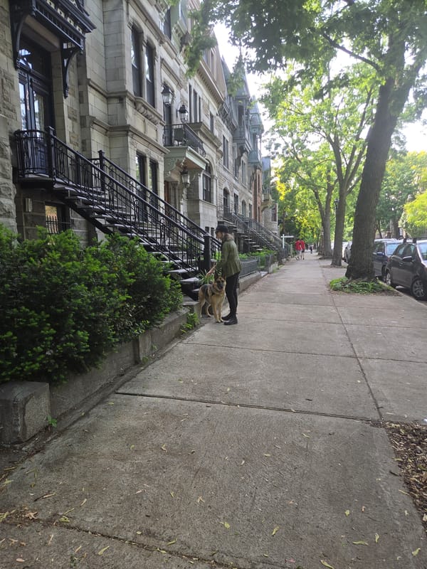 Person bends down on sunny Montreal street
