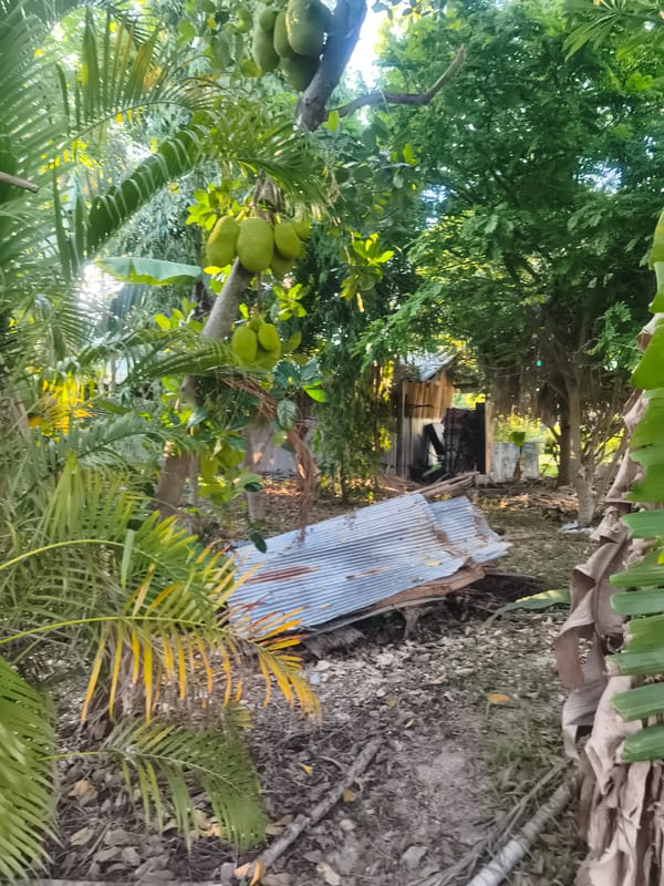 Rural deterioration documented in Baan Plai Laem, Thailand