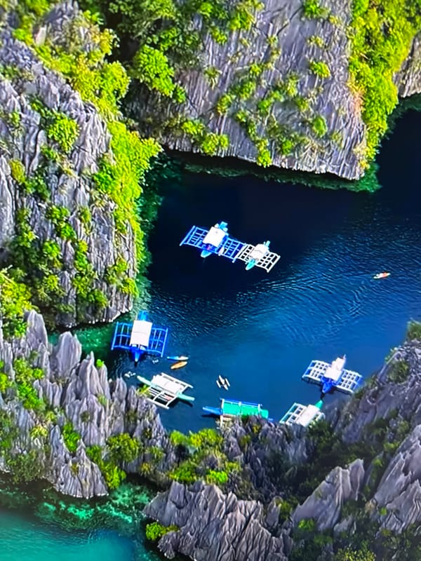 Mistagged tropical and coastal scenes pinned to Almaty