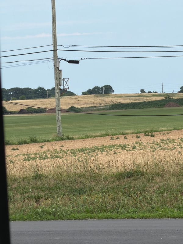 Open road through dry farmland on Long Island's North Fork