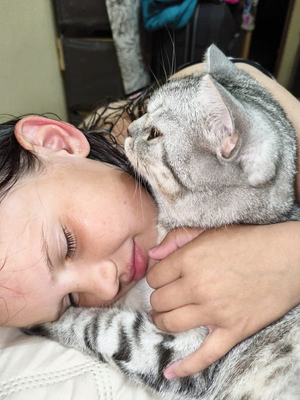 Family shares quiet evening moments with beloved gray tabby cat