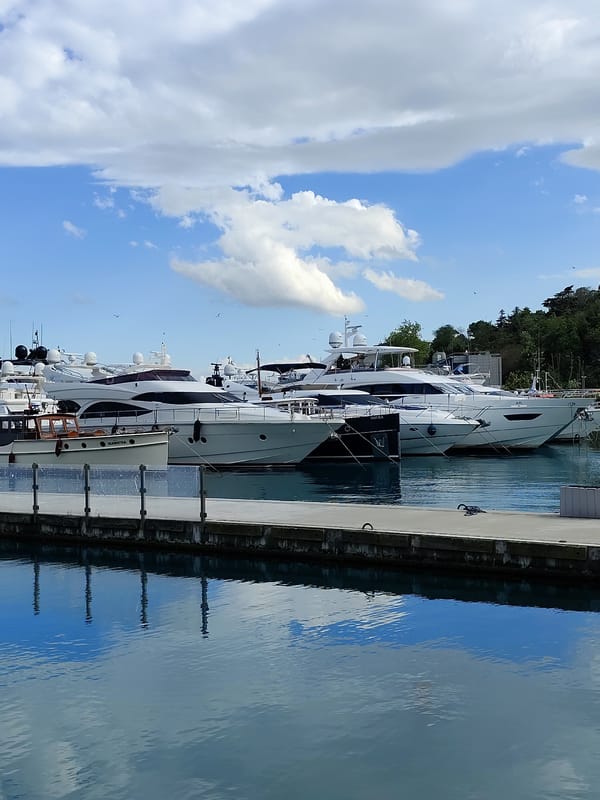 Marina life captured in 30 memories over 19 minutes