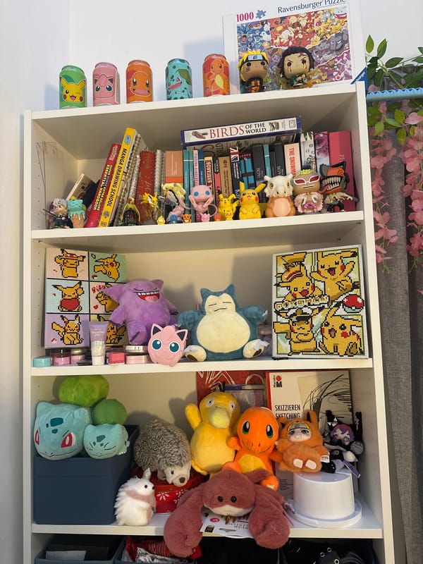 Ljubljana resident documents personal collection on white bookshelf