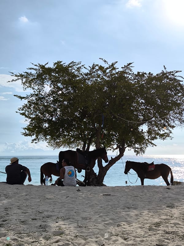 Indonesian coastal community shows horses, carts, scooters in morning