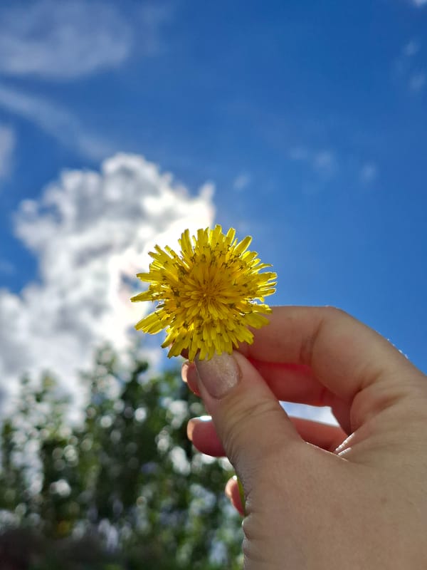 Sunny day outdoor moments captured in Karsha, Russia