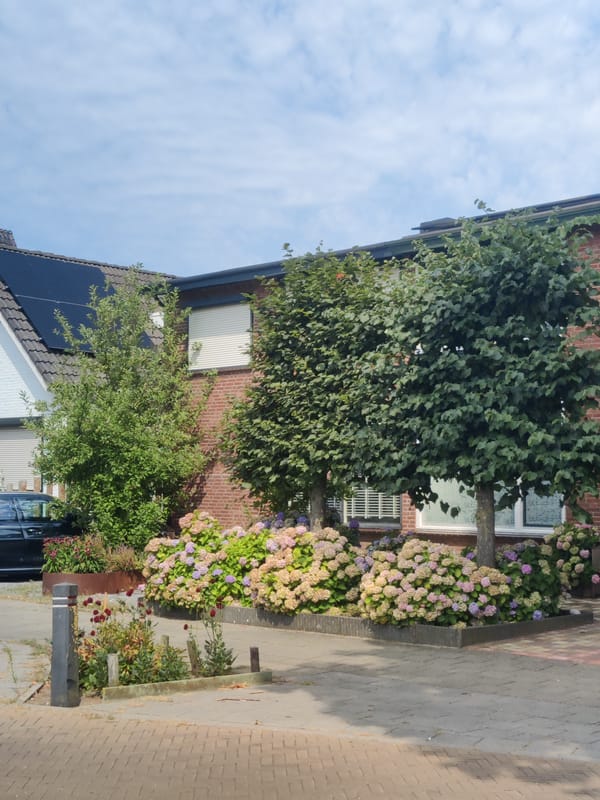 Quiet summer morning in a Winterswijk neighborhood