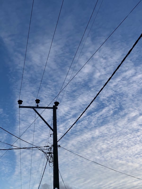 Coastal Sri Lanka: palm trees, power lines, and toast.