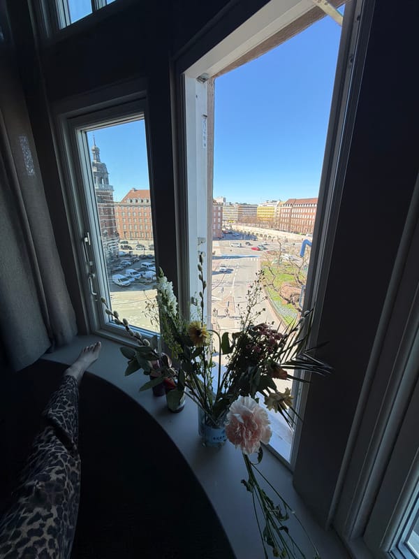 Morning window views captured from Copenhagen room interior