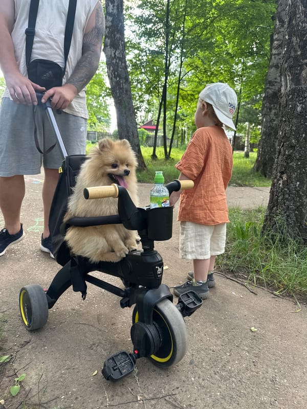 Family park visit with stroller dog in Votkinsk