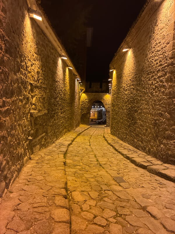 Nighttime stroll through historic Plovdiv captures cats and cobblestones