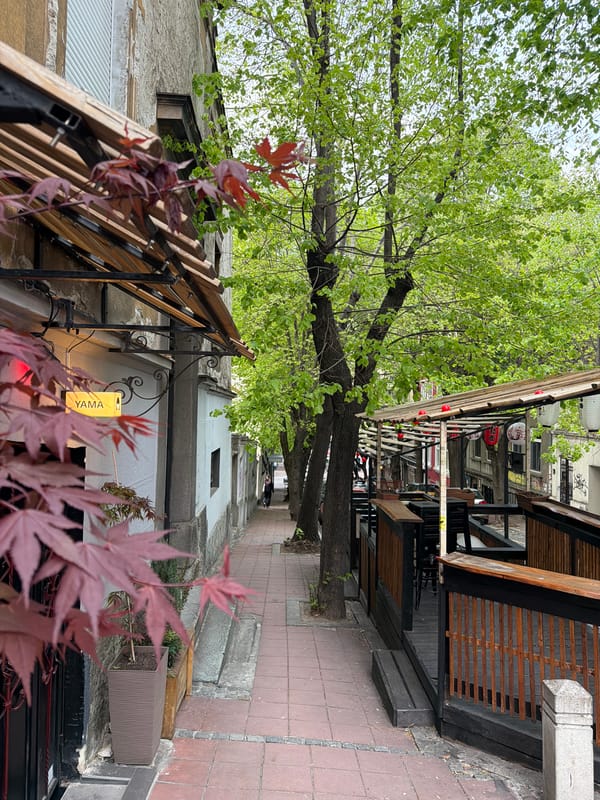 Woman films herself walking on Belgrade street
