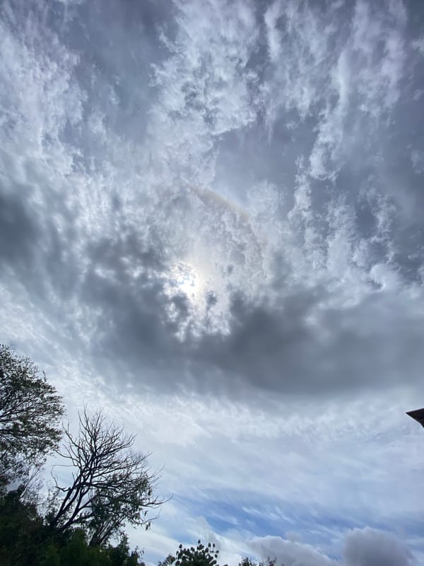 Resident documents afternoon scenes around Juan Griego neighborhood