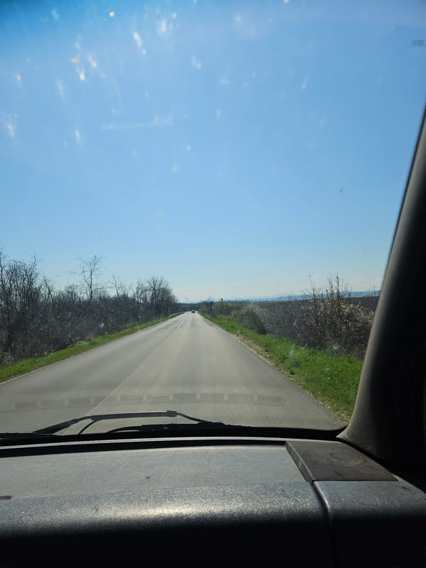 Vehicle travels paved road through vegetation in Preslavets, Bulgaria