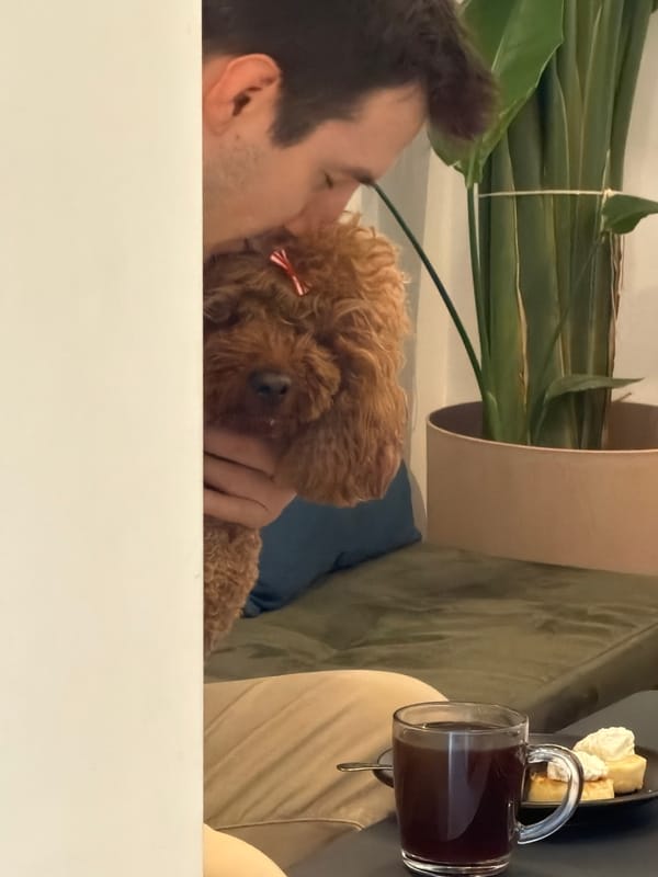 Morning moments captured in Budva: man with poodle, woman outdoors