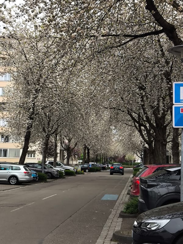 Young man documents afternoon walk through Strasbourg streets